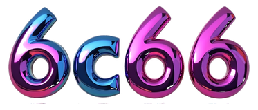 6c66